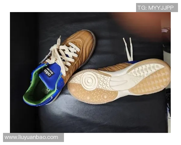 选择适合自己的足球鞋皮质类型解析与推荐