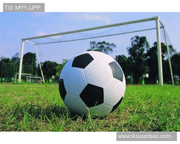 黄向东：从足球场上的拼搏到人生的启示与成长之路